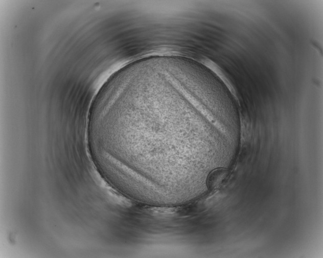 X0000103160861200809051658