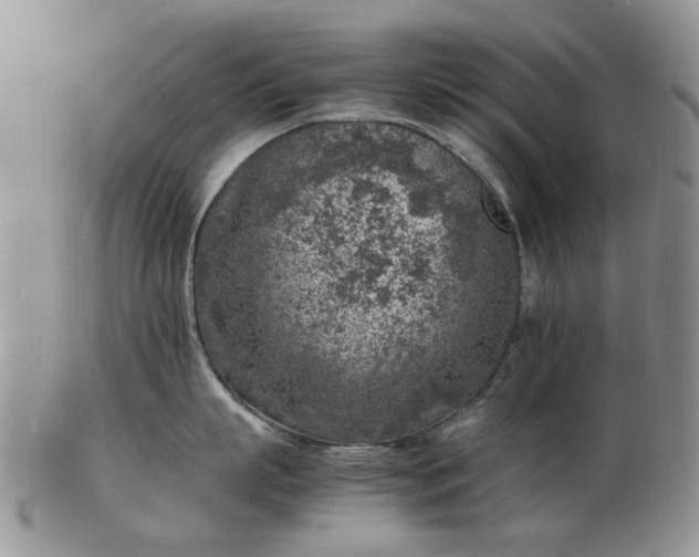 X0000103160863200809051658