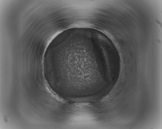 X0000103160864200809051658