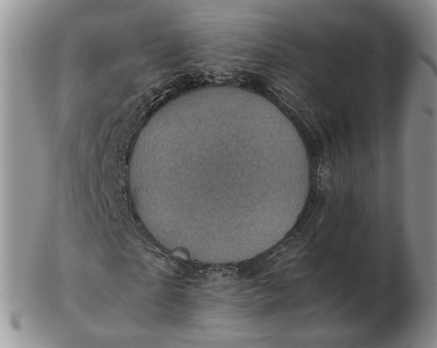 X0000103160865200809051657