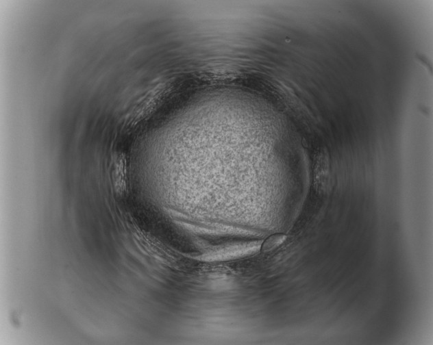 X0000103160866200809051657