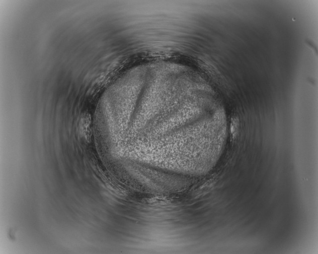 X0000103160867200809051657