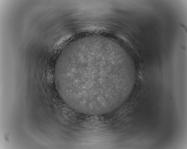 X0000103160869200809051657