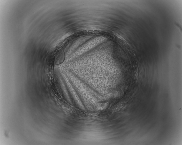 X0000103160870200809051657