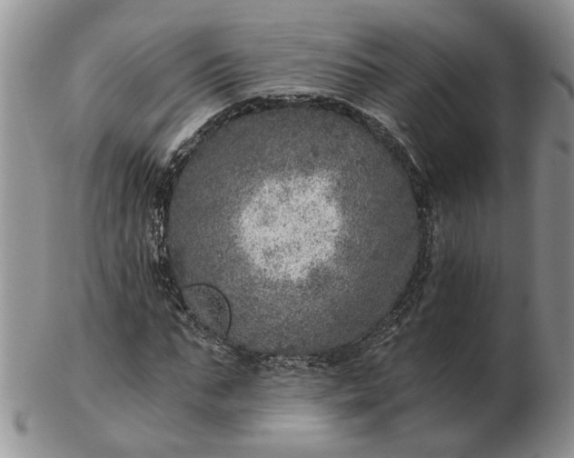 X0000103160871200809051657