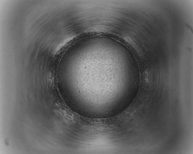 X0000103160872200809051657