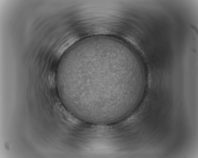 X0000103160873200809051657