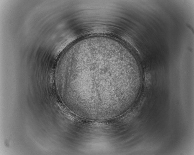 X0000103160874200809051657