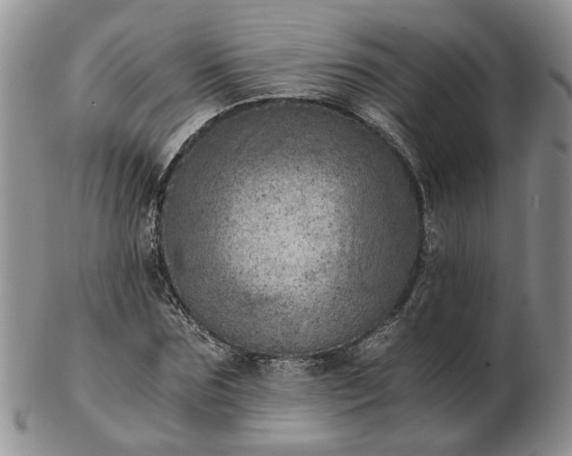 X0000103160875200809051657