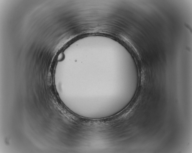 X0000103160876200809051657