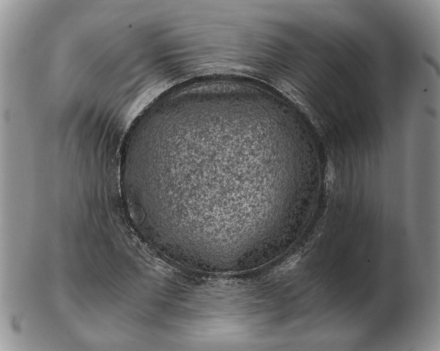 X0000103160877200809051657