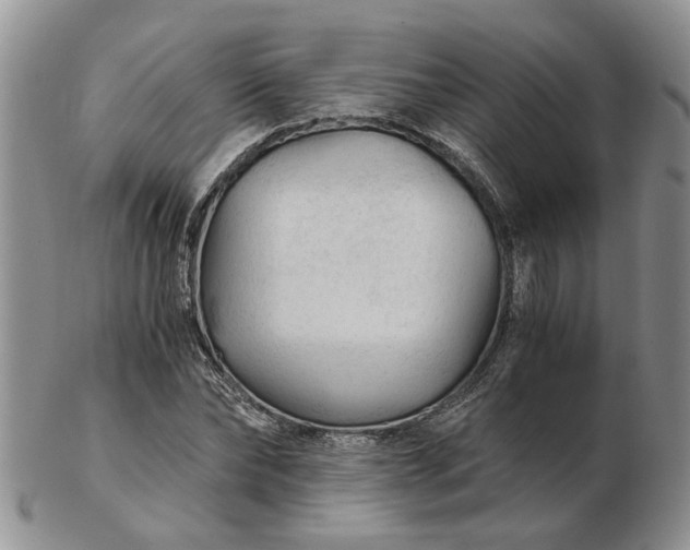 X0000103160878200809051657