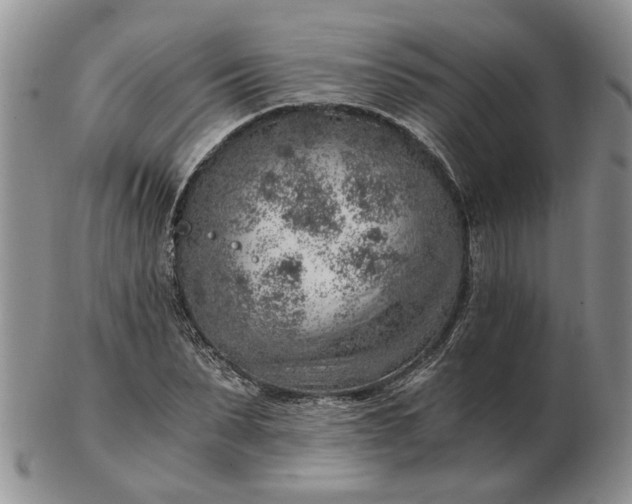 X0000103160879200809051657