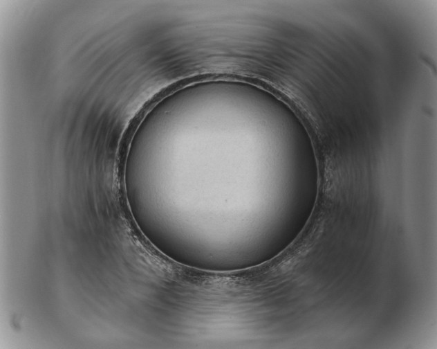 X0000103160880200809051657