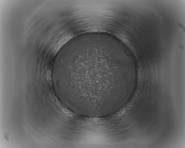 X0000103160881200809051657