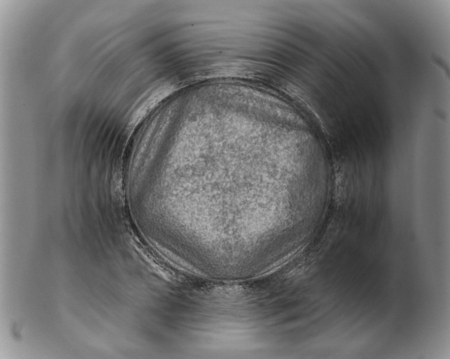 X0000103160882200809051657