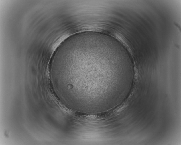 X0000103160883200809051657