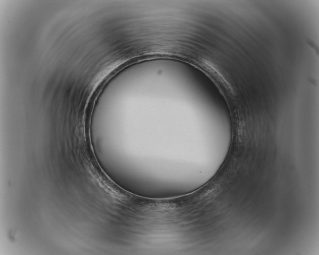 X0000103160884200809051657