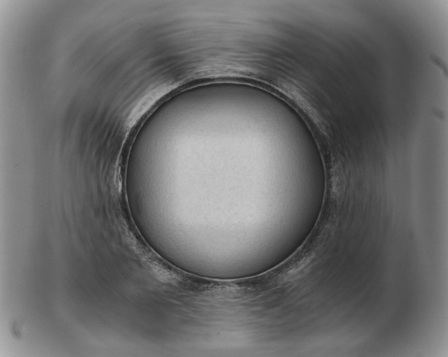 X0000103160885200809051657