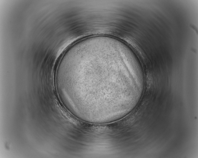 X0000103160886200809051657