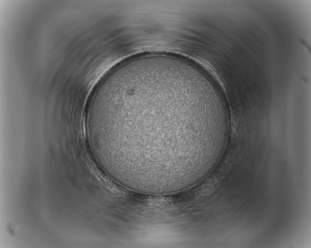 X0000103160887200809051657