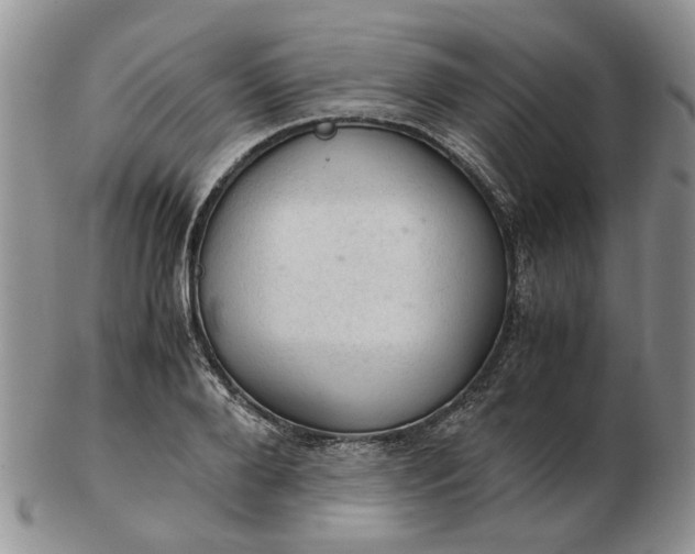 X0000103160888200809051657