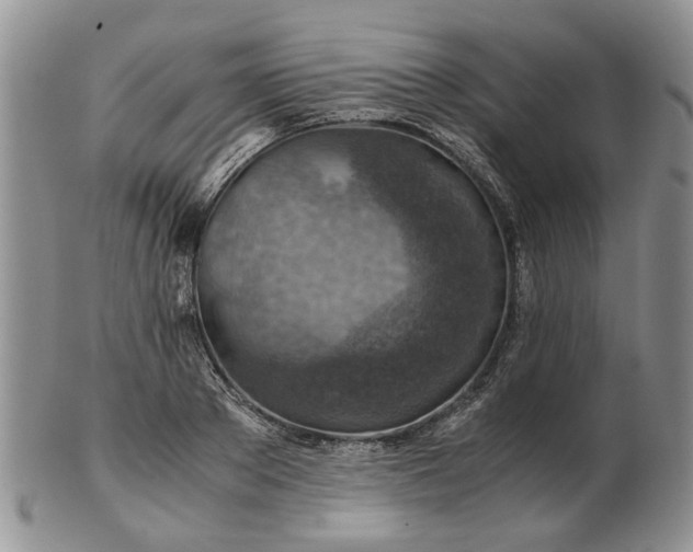 X0000103160889200809051657