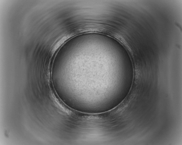 X0000103160890200809051657