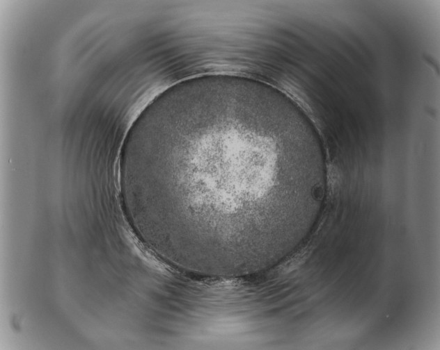 X0000103160891200809051657