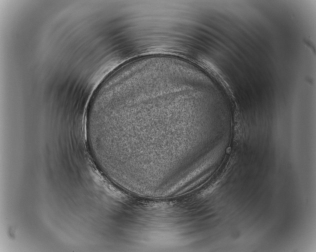 X0000103160892200809051657