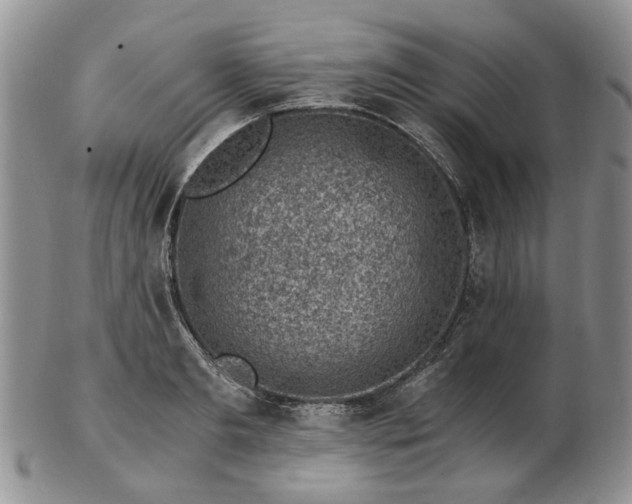 X0000103160893200809051657