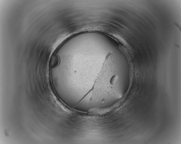 X0000103160894200809051657