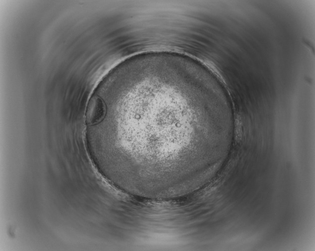 X0000103160895200809051657