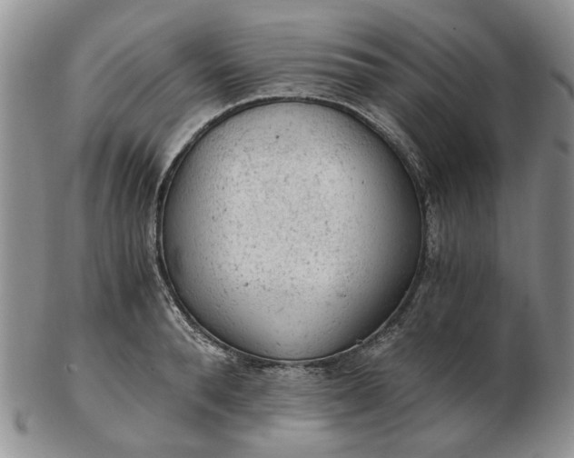 X0000103160896200809051657