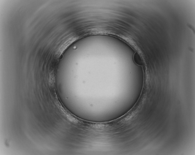 X0000103160897200809051657