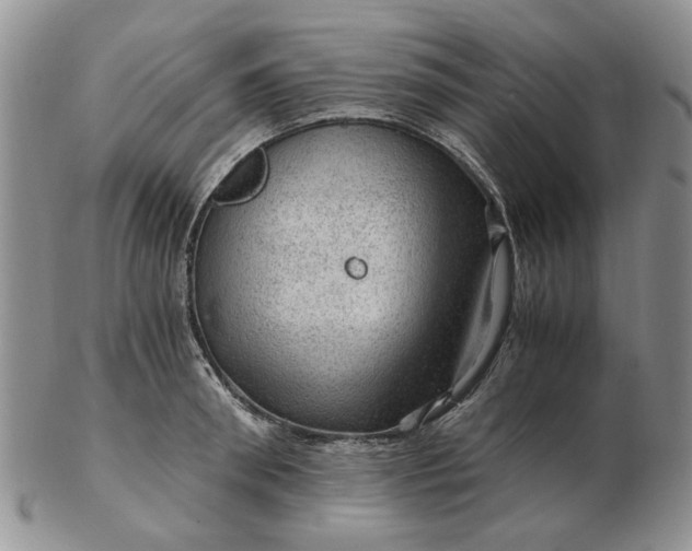 X0000103160898200809051657