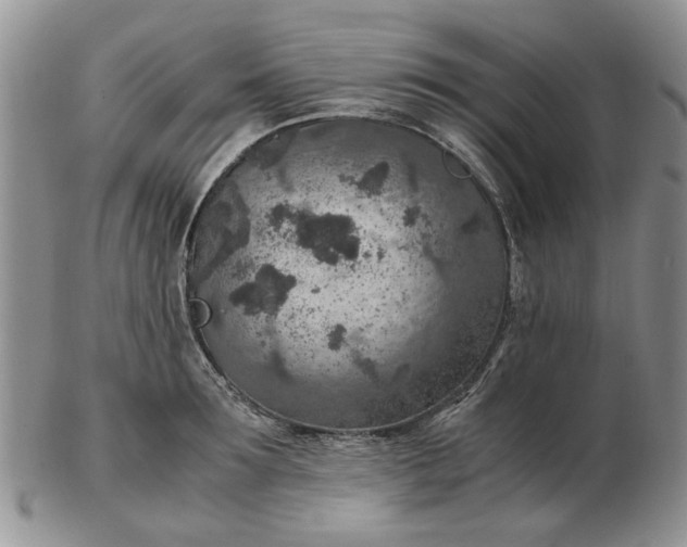 X0000103160899200809051657