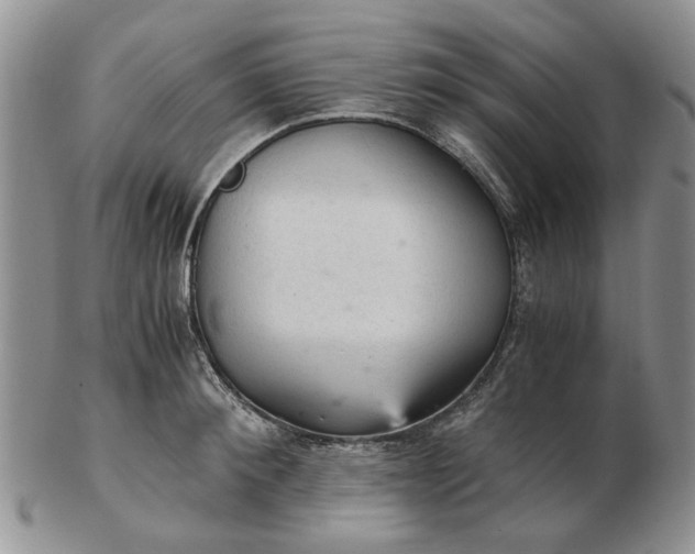 X0000103160900200809051657