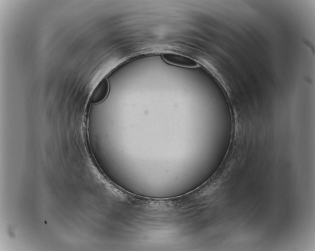 X0000103160901200809051657