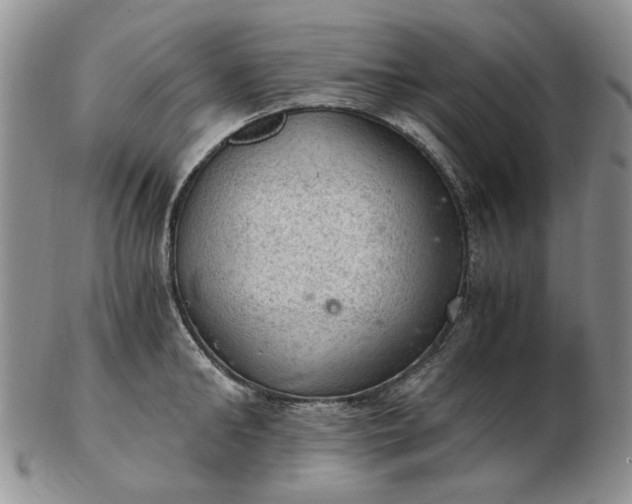 X0000103160902200809051657