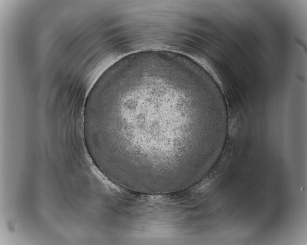 X0000103160903200809051657