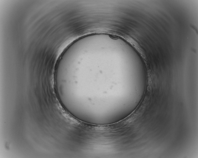 X0000103160904200809051657