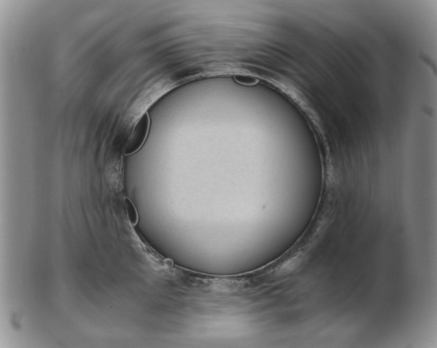 X0000103160905200809051657