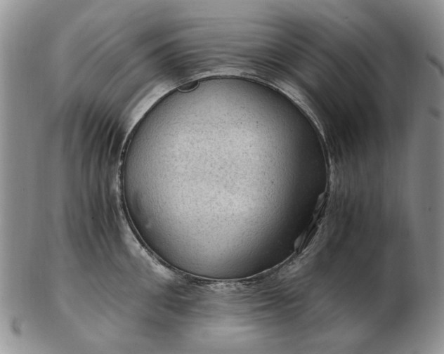 X0000103160906200809051657