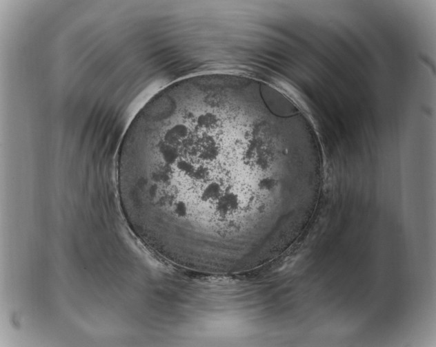 X0000103160907200809051657