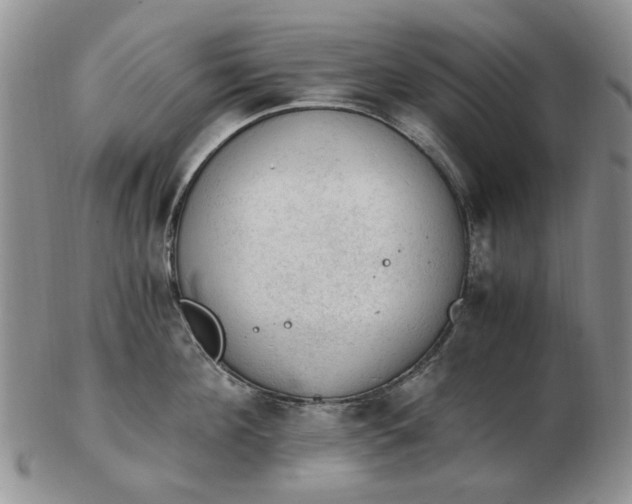 X0000103160908200809051657