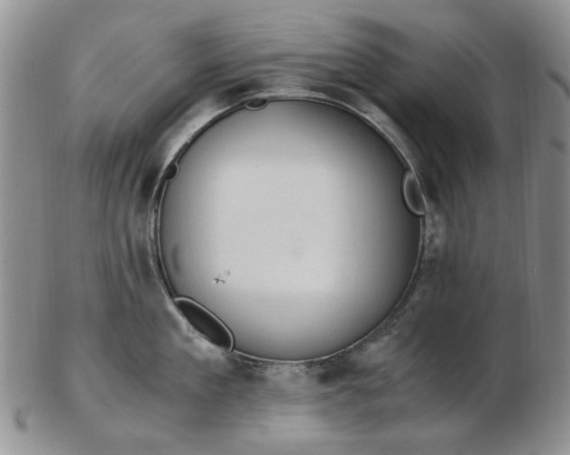 X0000103160909200809051657