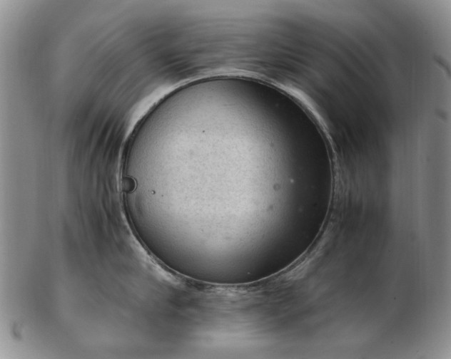 X0000103160910200809051657