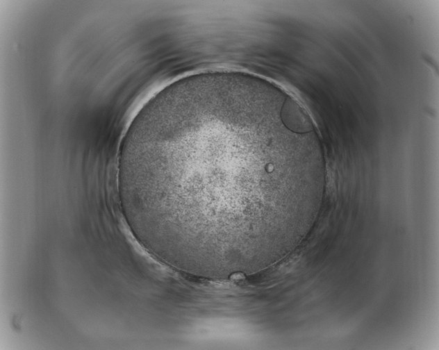 X0000103160911200809051657