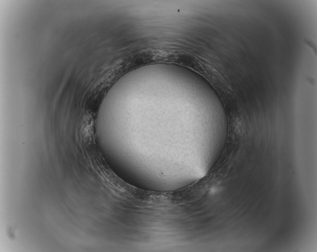 X0000103160914200809051656